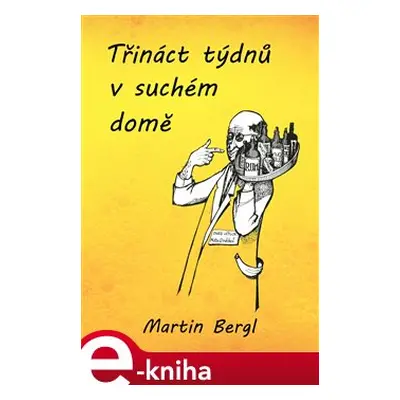 Třináct týdnů v Suchém domě - Martin Bergl