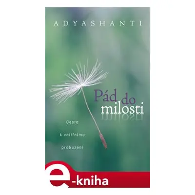 Pád do milosti - Adyshanti