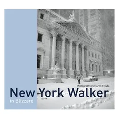 New York Walker - Martin Froyda