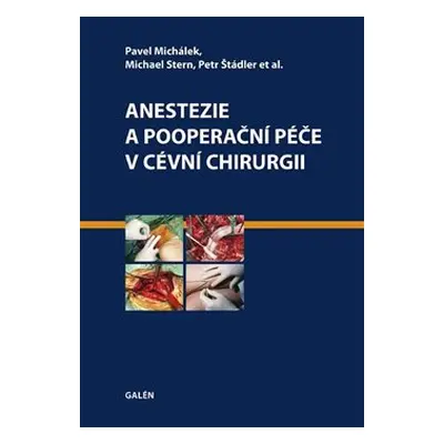 Anestezie a pooperační péče v cévní chirurgii - Petr Štádler, Pavel Michálek, Michael Stern