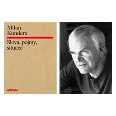 : Slova, pojmy, situace - Milan Kundera