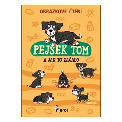 Pejsek Tom a jak to začalo - Petr Šulc