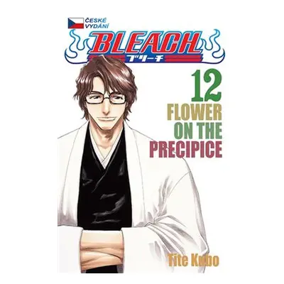 Bleach 12: Flower on the Precipice - Tite Kubo