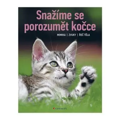 Snažíme se porozumět kočce - Brigitte Rauth–Widmann