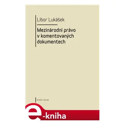 Visegrádská skupina a její vývoj v letech 1991-2004 - Libor Lukášek