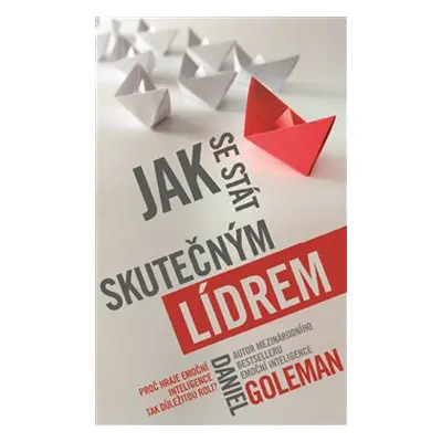 Jak se stát skutečným lídrem - Daniel Goleman