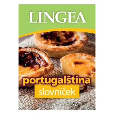 Portugalština slovníček - kol.