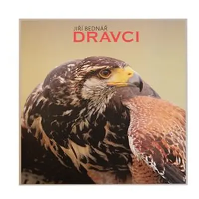 Dravci - Jiří Bednář