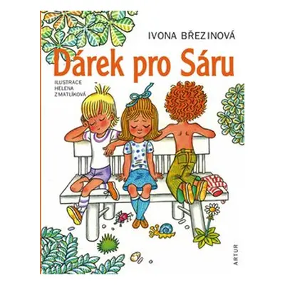 Dárek pro Sáru - Ivona Březinová