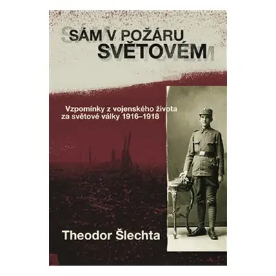 Sám v požáru světovém - Theodor Šlechta