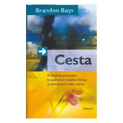 Cesta - Brandon Bays