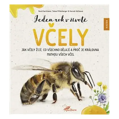 Jeden rok v životě včely - David Gerstmeier, Hannah Götteová, Tobias Miltenberger