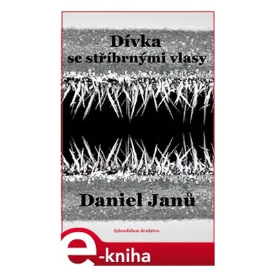 Dívka se stříbrnými vlasy - Daniel Janů