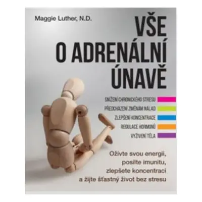 Vše o adrenální únavě - Maggie Luther