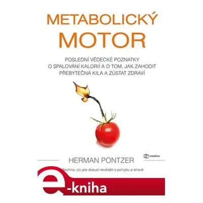 Metabolický motor - Herman Pontzer