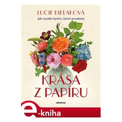 Krása z papíru - Lucie Bielaková