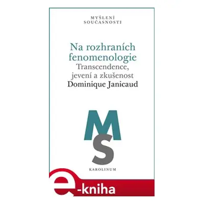 Na rozhraních fenomenologie - Dominique Janicaud