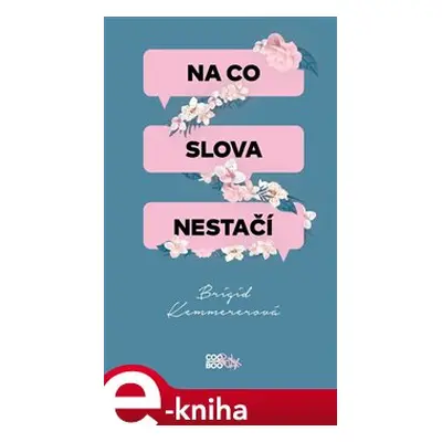 Na co slova nestačí - Brigid Kemmererová