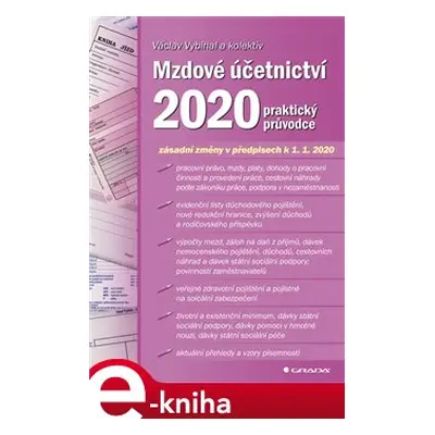 Mzdové účetnictví 2020 - Václav Vybíhal