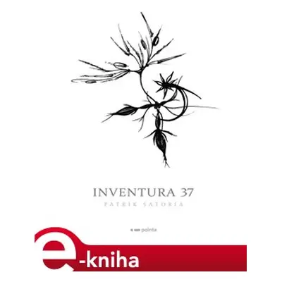 Inventura 37 - Patrik Satoria