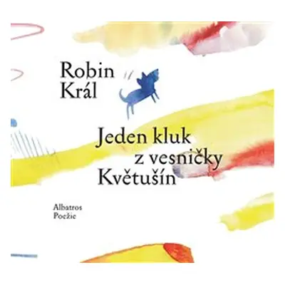 Jeden kluk z vesničky Květušín - Robin Král