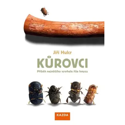 Kůrovci - Jiří Hulcr