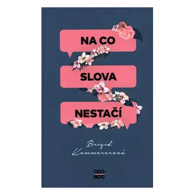 Na co slova nestačí - Brigid Kemmererová