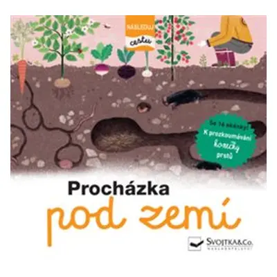 Procházka pod zemí - následuj cestu - Élisabeth de Lambilly