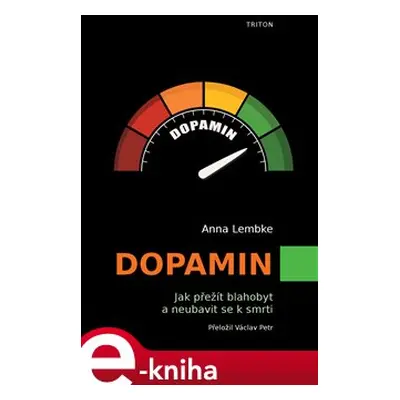 Dopamin - Anna Lembke