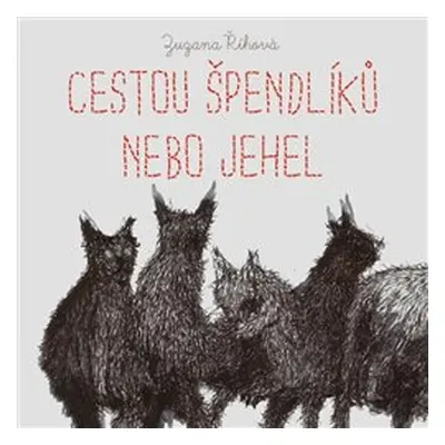 Cestou špendlíků nebo jehel - Zuzana Říhová