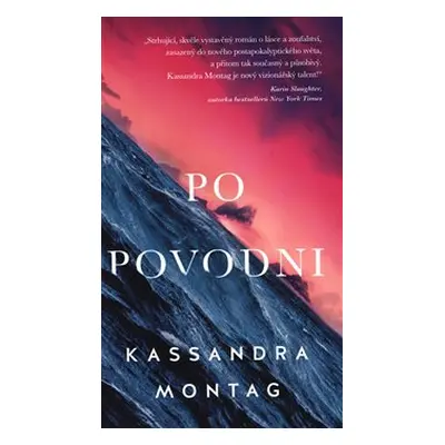 Po povodni - Kassandra Montag