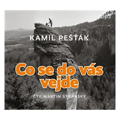 Co se do vás vejde - Kamil Pešťák