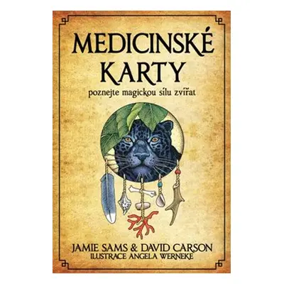 Medicinské karty (Kniha a 52 karet) - Jamie Sams, David Carson