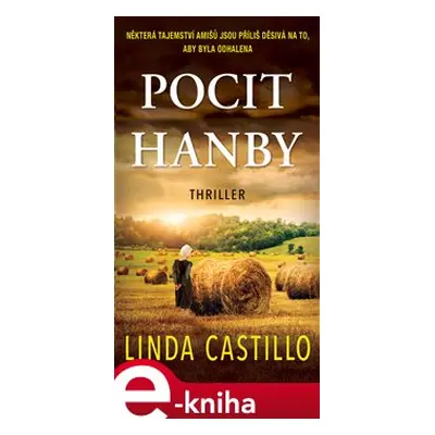 Pocit hanby - Linda Castillo