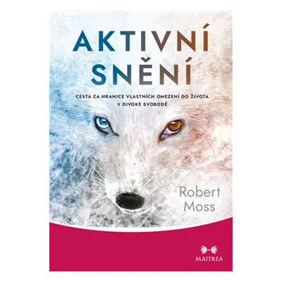 Aktivní snění - Robert Moss