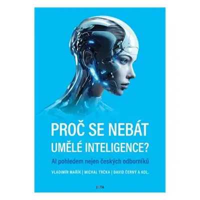 Proč se nebát umělé inteligence? - Vladimír Mařík, Michal Trčka, David Černý