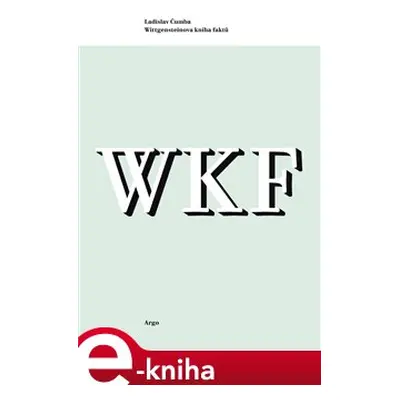 Wittgensteinova kniha faktů - Ladislav Čumba