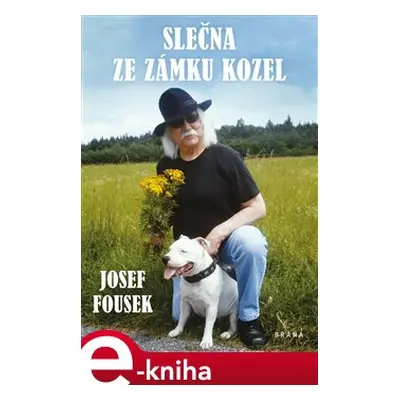 Slečna ze zámku Kozel - Josef Fousek