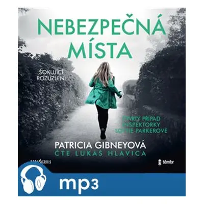 Nebezpečná místa, mp3 - Patricia Gibneyová