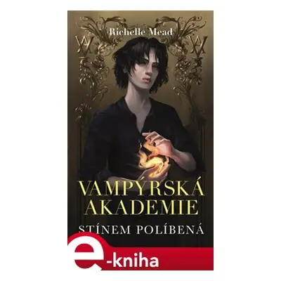 Vampýrská akademie 3 - Richelle Mead