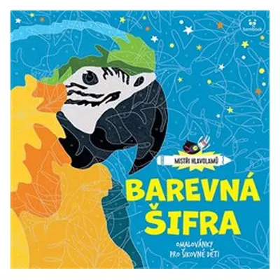 Barevná šifra - Lauren Farnsworthová