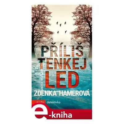 Příliš tenkej led - Zdenka Hamerová