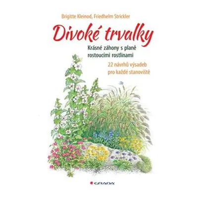 Divoké trvalky - Brigitte Kleinod, Friedhelm Strickler