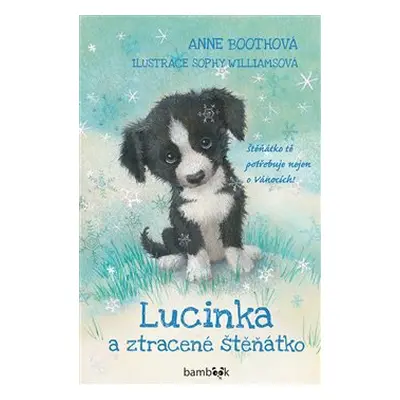 Lucinka a ztracené štěňátko - Anne Bootheová