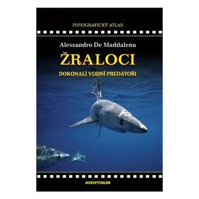 Žraloci, dokonalí vodní predátoři - Alessandro De Maddalena