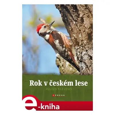 Rok v českém lese - kolektiv