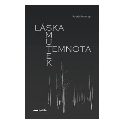 Láska, smutek, temnota - Radek Pokorný