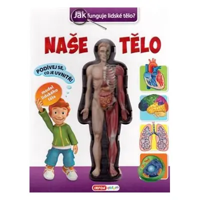 Naše tělo