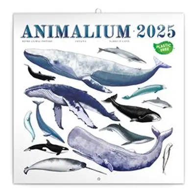 Poznámkový kalendář Animalium 2025