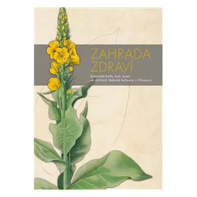 Zahrada zdraví - Petra Kubíčková